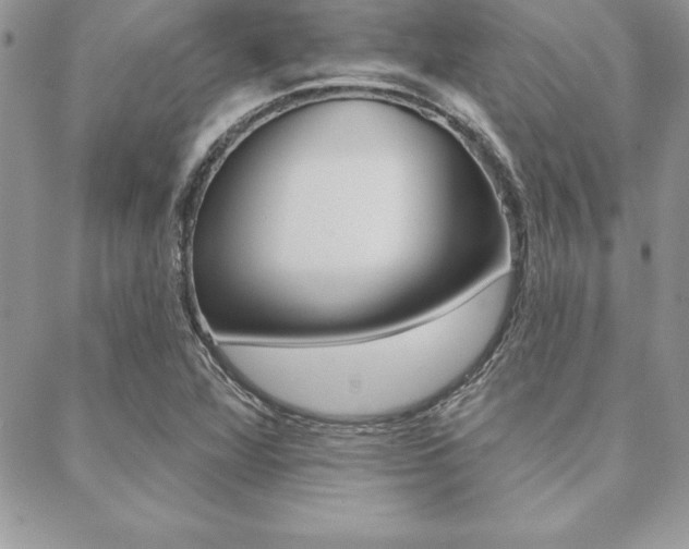 X0000089441360200706151001
