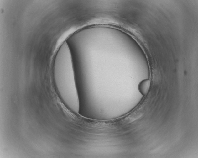 X0000089441366200706151001