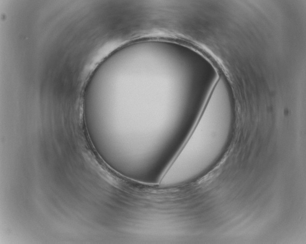 X0000089441367200706151001