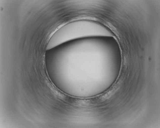 X0000089441369200706151000
