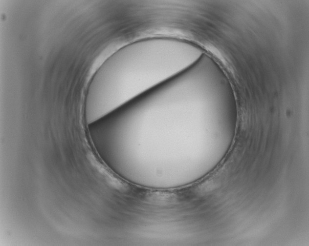 X0000089441374200706151000