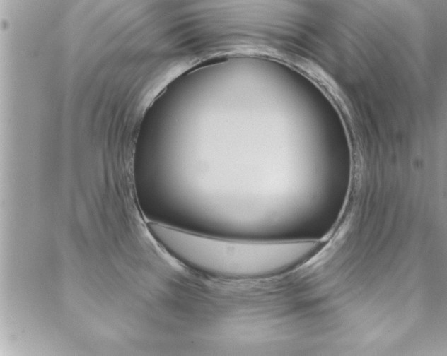 X0000089441385200706151000
