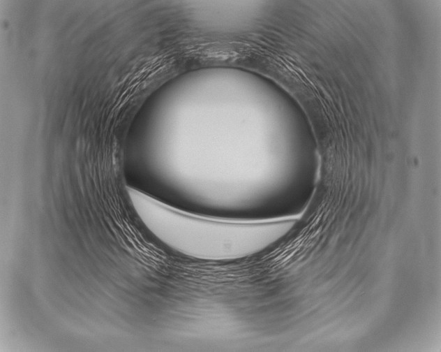 X0000089441394200706150959