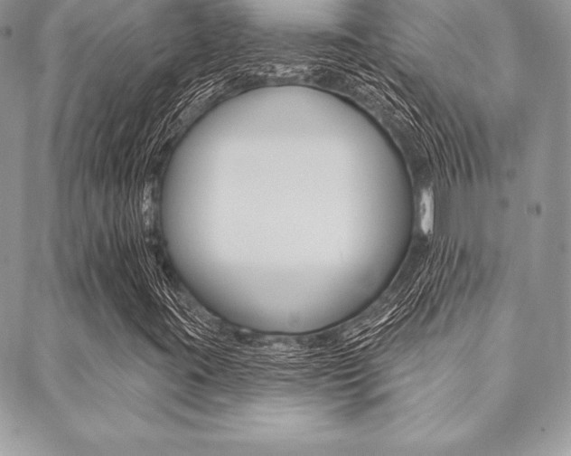 X0000089441395200706150959