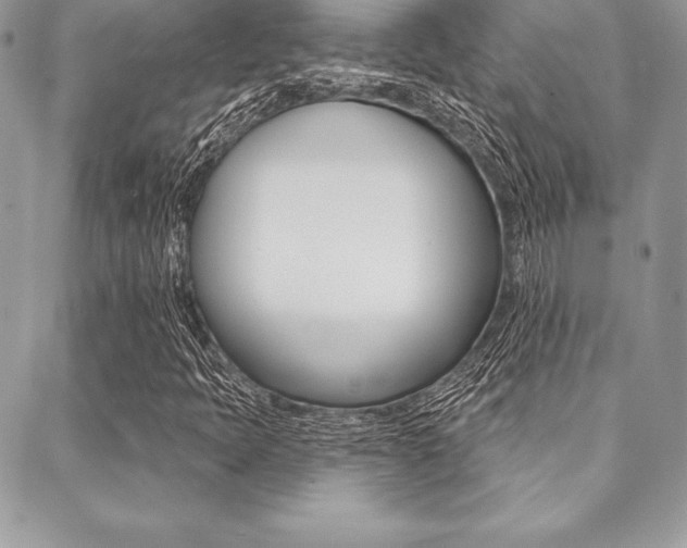 X0000089441397200706150959