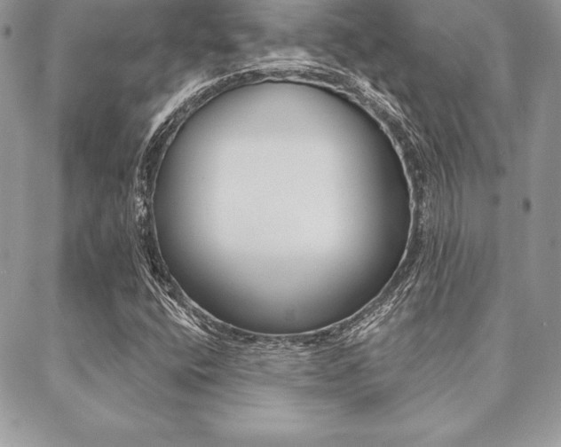 X0000089441400200706150959