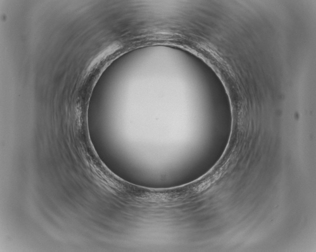 X0000089441402200706150959