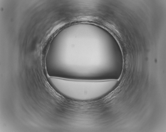 X0000089441404200706150959