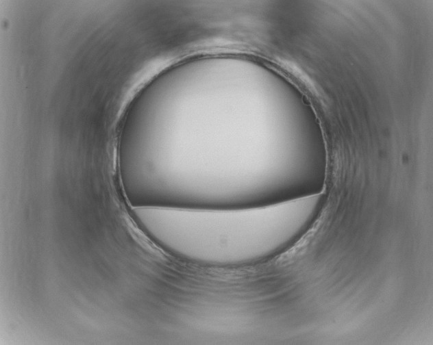 X0000089441413200706151000