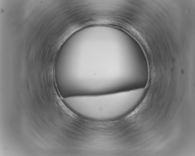 X0000089441417200706151000