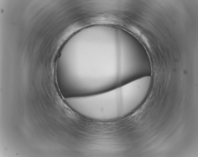 X0000089441419200706151000
