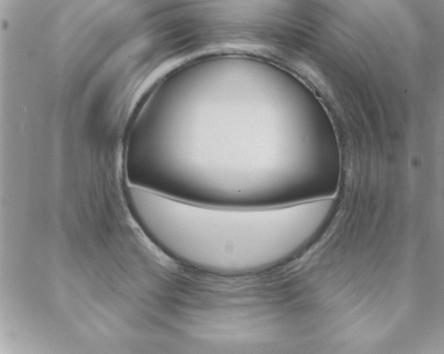 X0000089441420200706151000