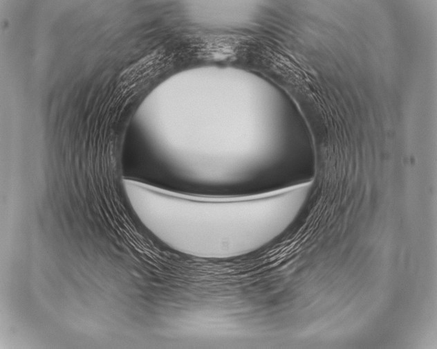 X0000089441442200706150959