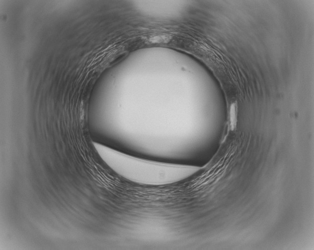 X0000089441443200706150959