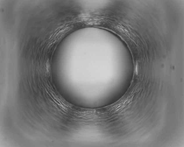 X0000089441444200706150959