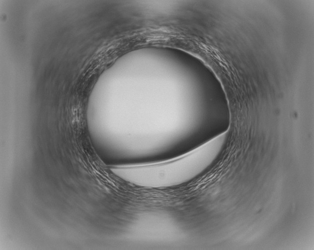 X0000089441445200706150959