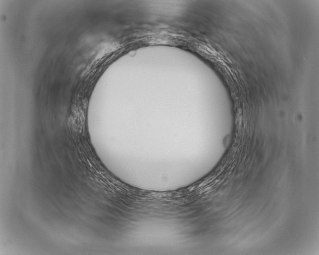 X0000089441446200706150959