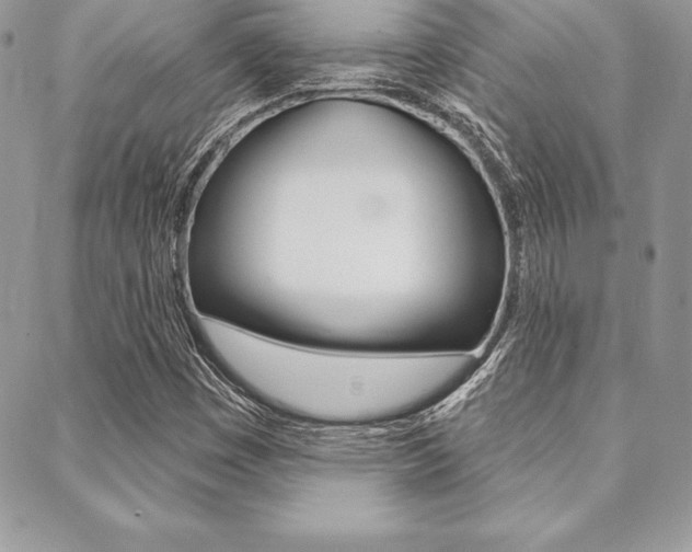 X0000089441449200706150959