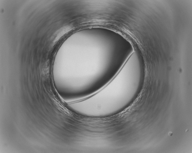 X0000089441450200706150959