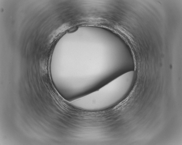 X0000089441451200706150959
