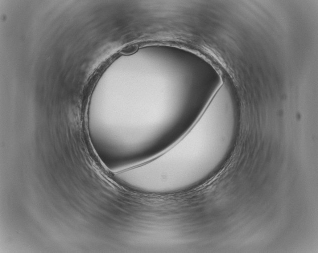 X0000089441452200706150959