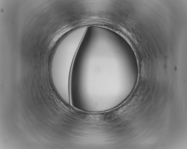 X0000089441453200706150959