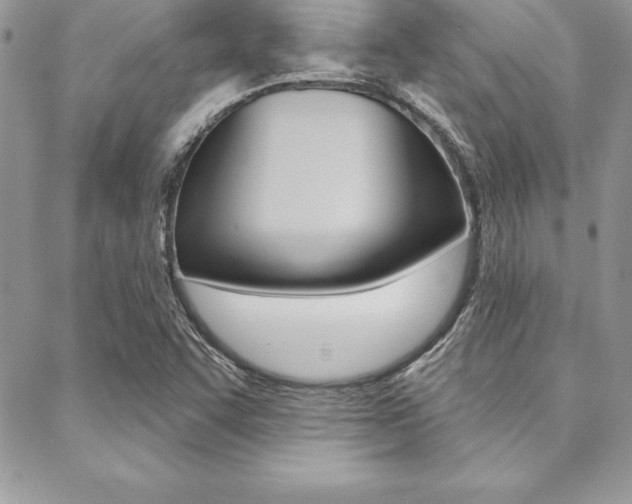 X0000089441455200706150959