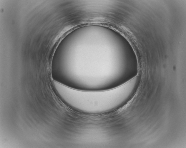 X0000089441457200706150959