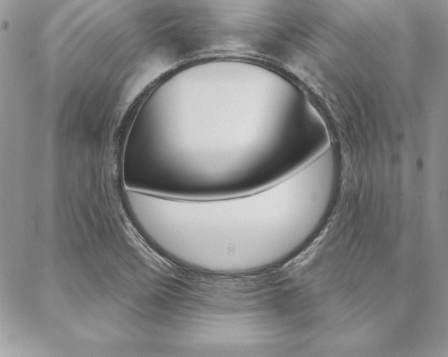 X0000089441458200706150959