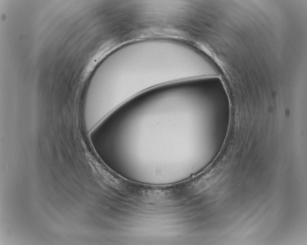 X0000089441459200706150959