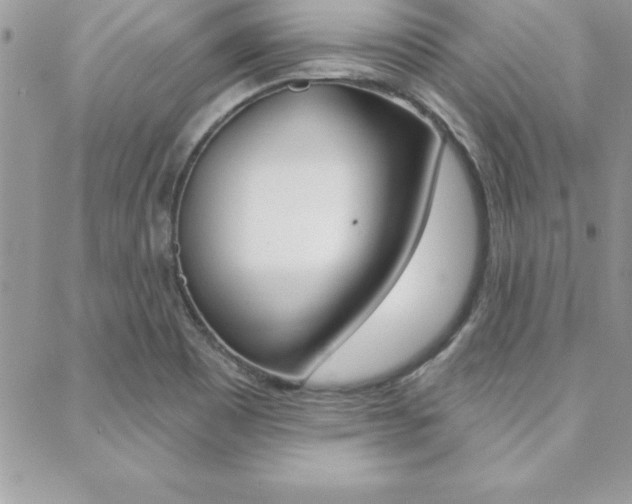 X0000089441465200706150959