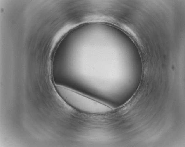 X0000089441472200706150959