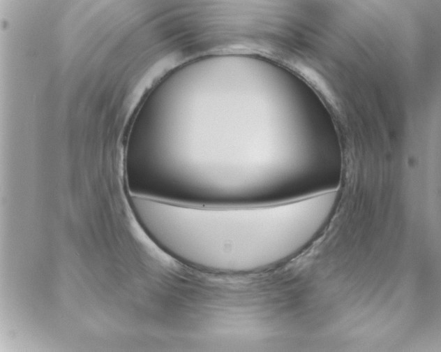 X0000089441476200706150959