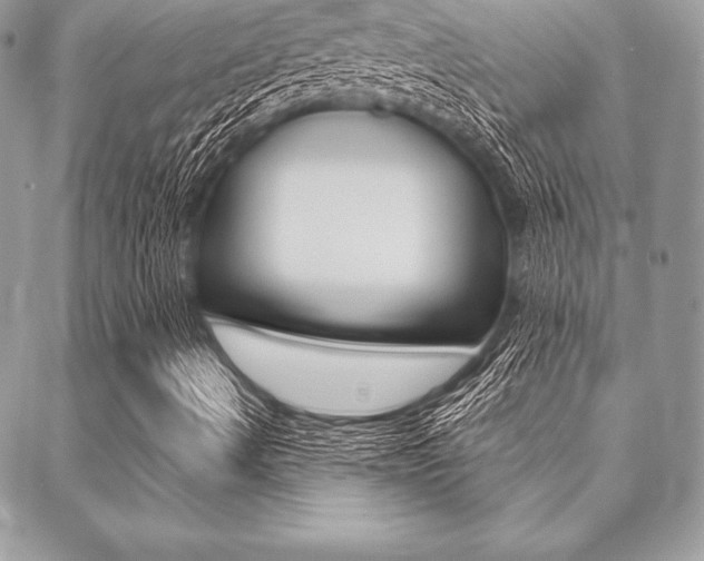 X0000089441490200706150958