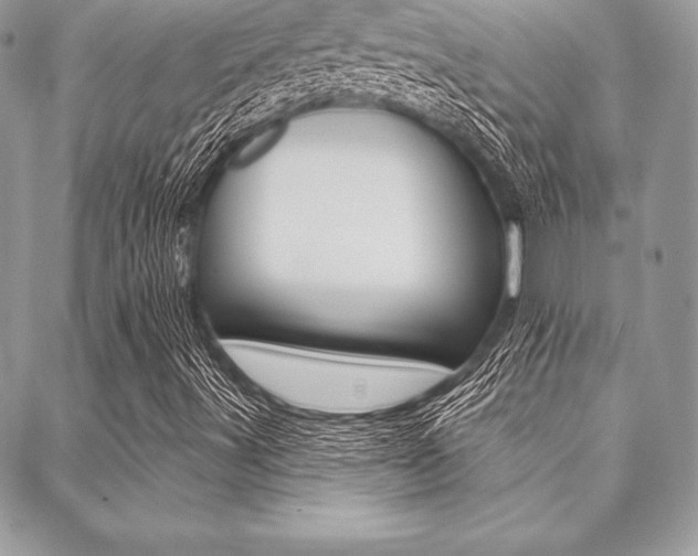 X0000089441491200706150958