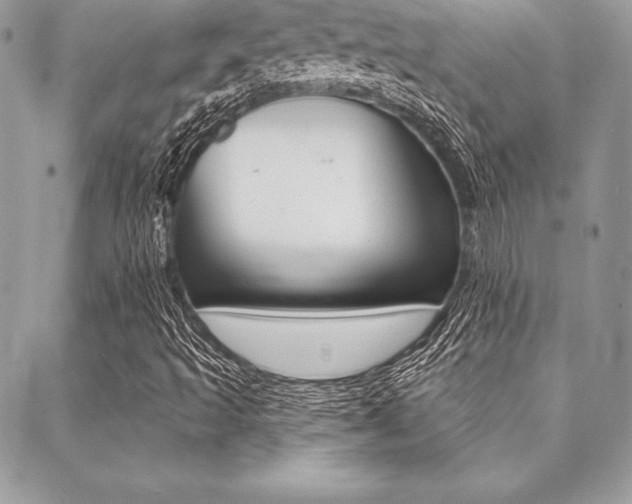 X0000089441493200706150958