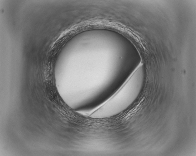 X0000089441494200706150958