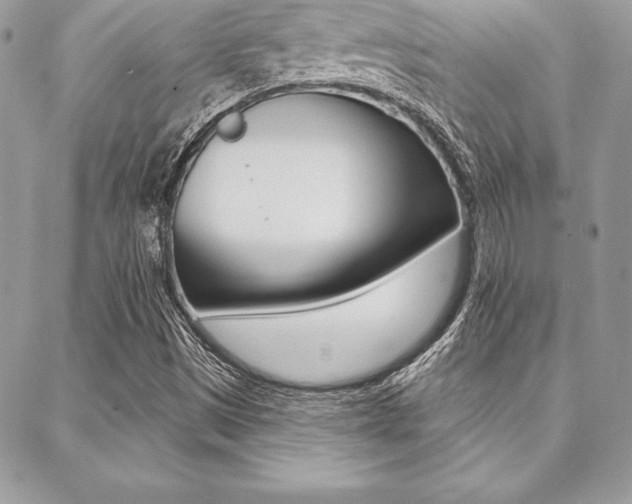 X0000089441497200706150958