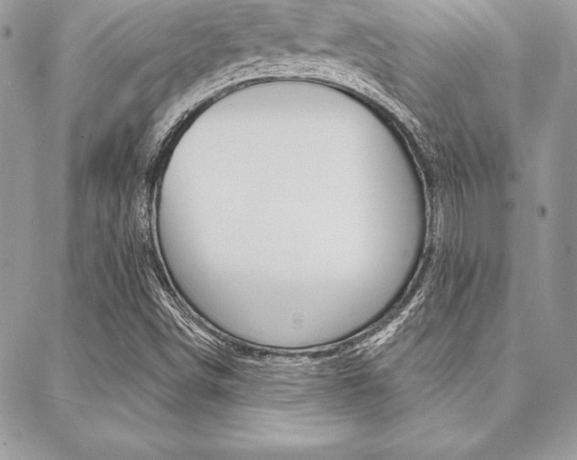 X0000089441498200706150958