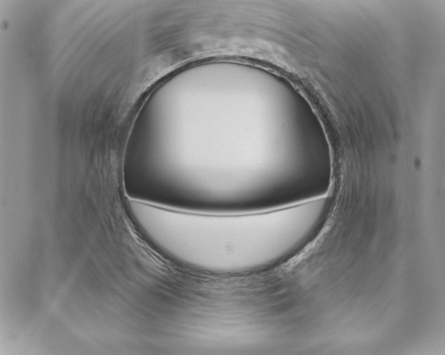 X0000089441505200706150958