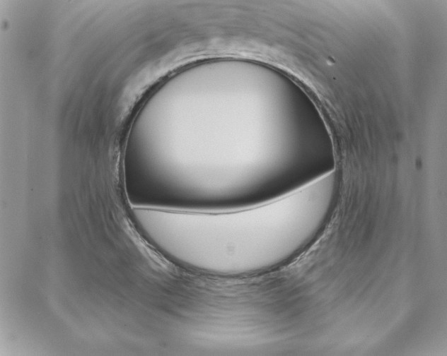 X0000089441507200706150958