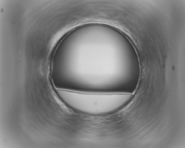 X0000089441511200706150958