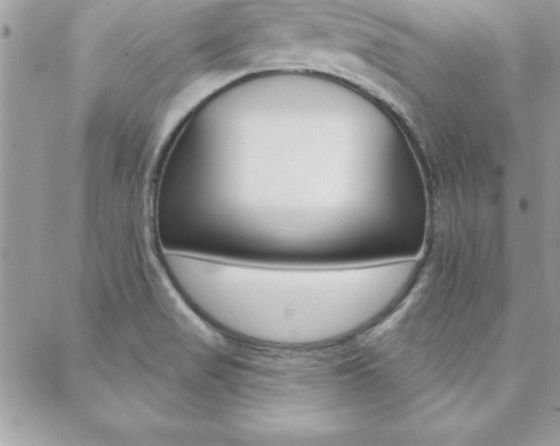 X0000089441517200706150958
