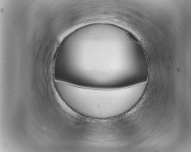 X0000089441526200706150958