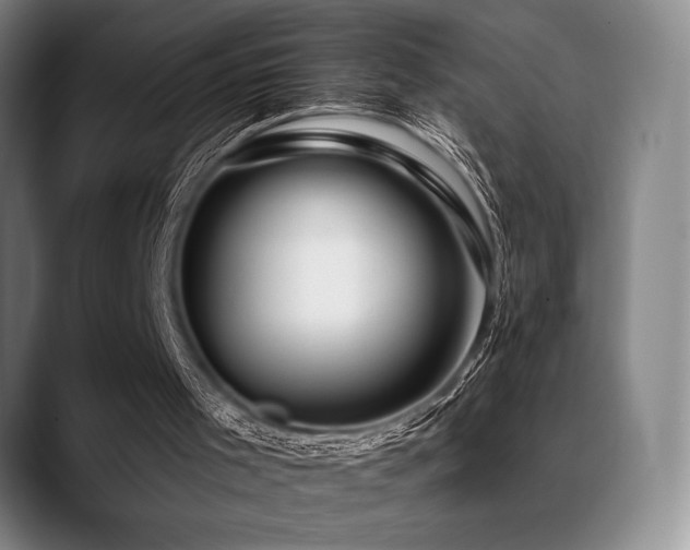 X0000089440001200706151422