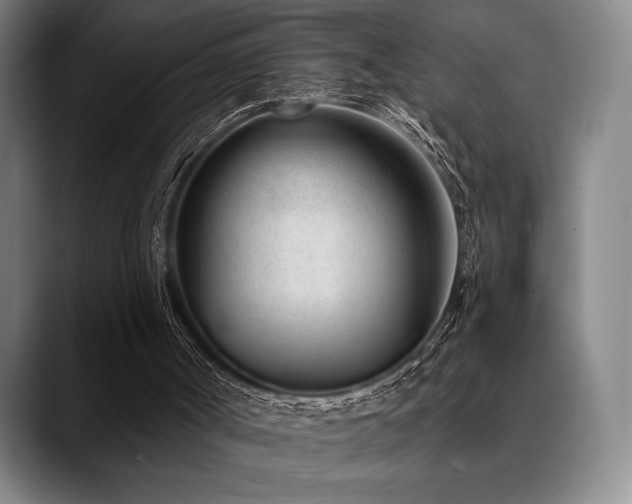 X0000089440002200706151422