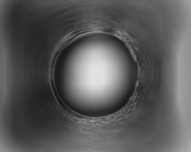 X0000089440003200706151422