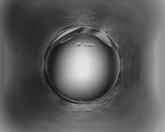 X0000089440005200706151422