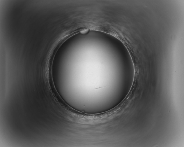X0000089440006200706151422