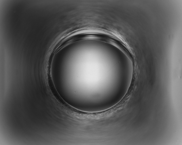 X0000089440007200706151422